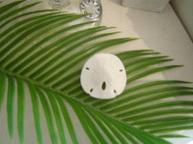 透かしカシパン