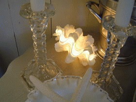 �q���V���R�����v
