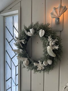 Shiny ribbon shell wreathe  ⋆。˚ リース シェル SEA MOON - SEA LIFE - Shell Wreath