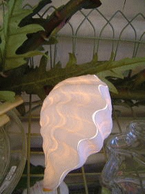 シャコ貝ランプ